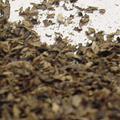 Spice ab 22.01.2009 nicht mehr legal