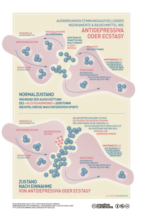 download the hunt for the parathyroids 2012