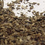 Spice jetzt eindeutig nicht mehr legal