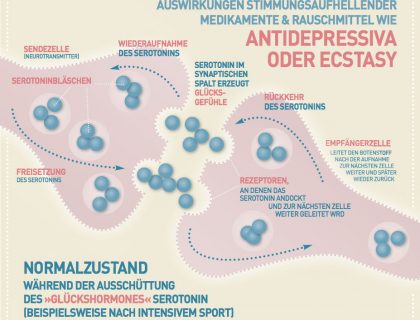 Neue Grafik zur Wirkungsweise von Serotonin
